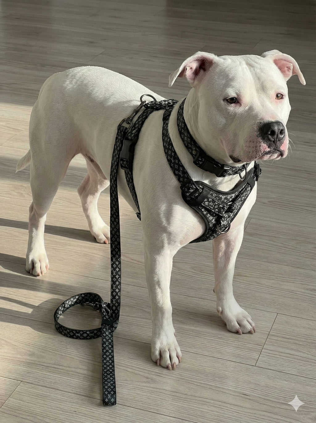 LV - 3 LÜ TASMA SETİ