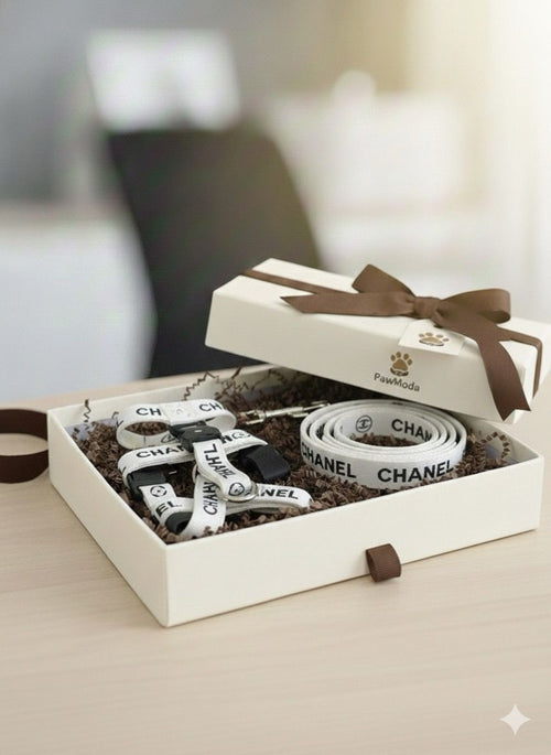 CHANNEL - 3 LÜ TASMA SETİ