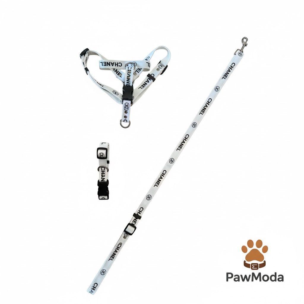 CHANNEL - 3 LÜ TASMA SETİ