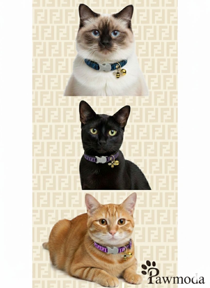 FENDI - KEDİ TASMASI