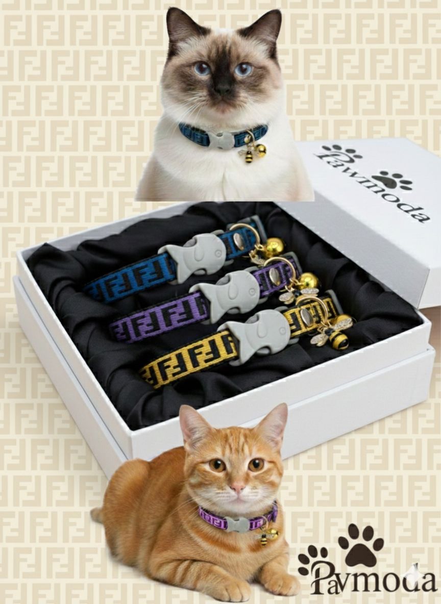 FENDI - KEDİ TASMASI