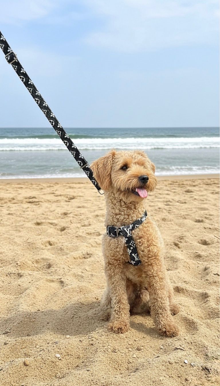 LV - 3 LÜ TASMA SETİ