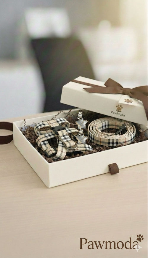 BURBERRY - 5 Lİ TASMA SETİ