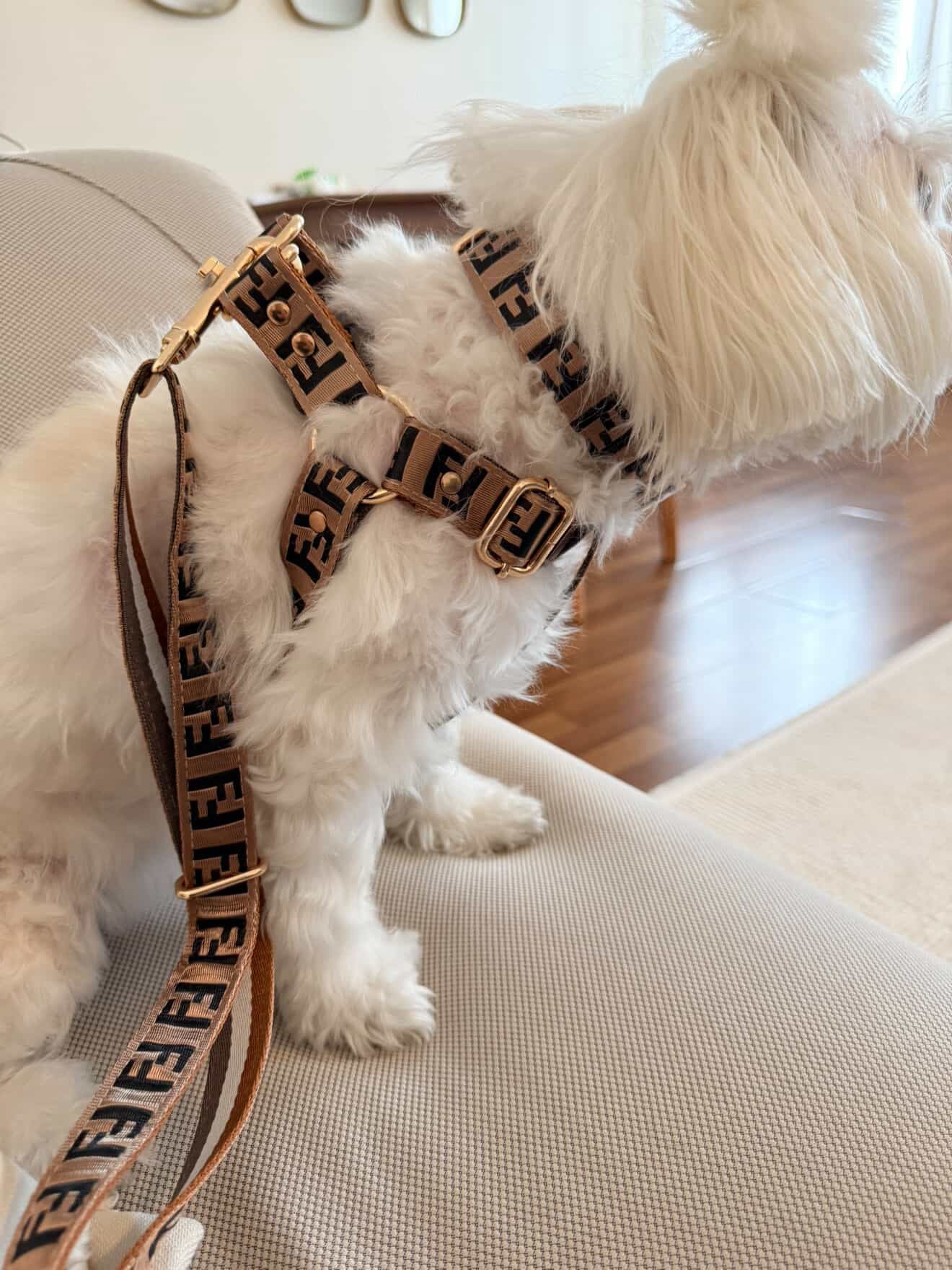 FENDI - 3 LÜ TASMA SETİ