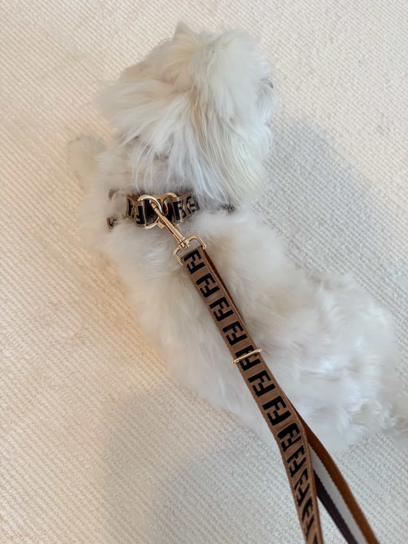 FENDI - 3 LÜ TASMA SETİ